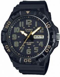 Купить в Киеве и в  Украине Casio  AEQ100W-1AVCF кварцевые мужские часы 