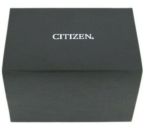 Citizen U3013-53L